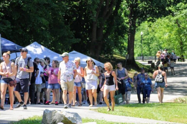 Wine Festival picture