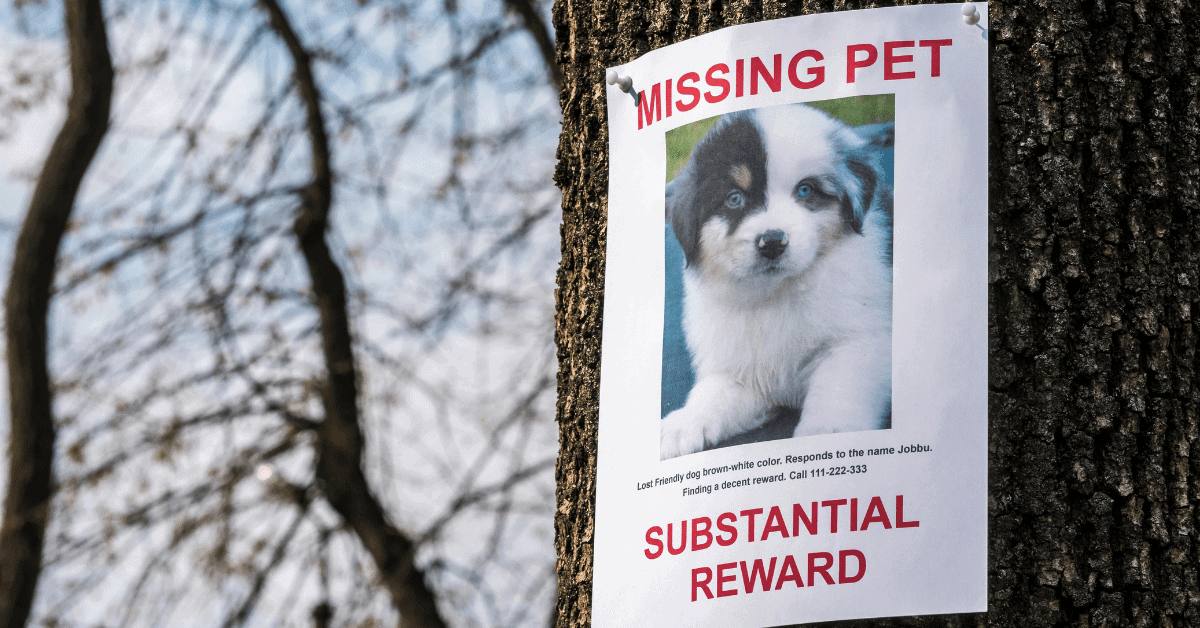 Missing Pets Banner