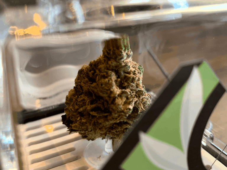 Excelsior Springs Welcomes Budding New Industry