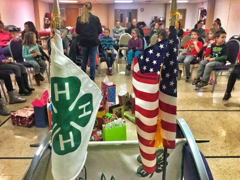 Excelsior Springs 4-H Club Partners with Community to Showcase Talents