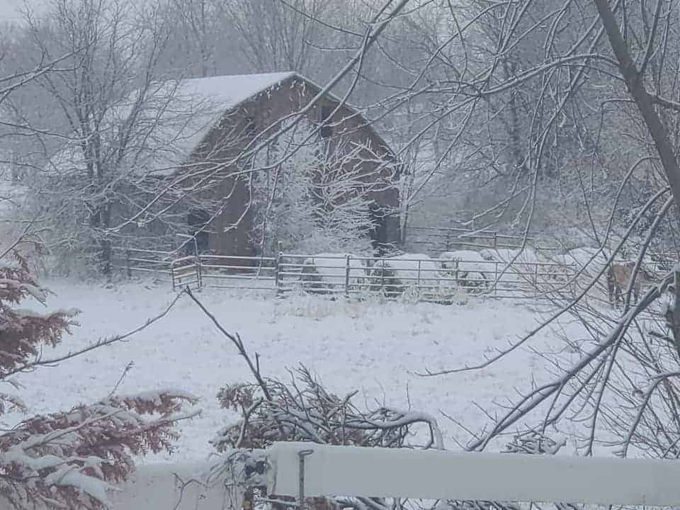 Winter Barn