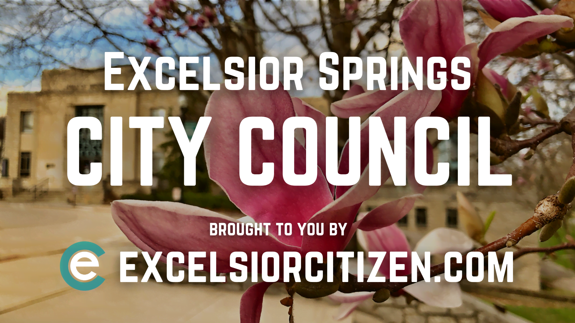 city council spring