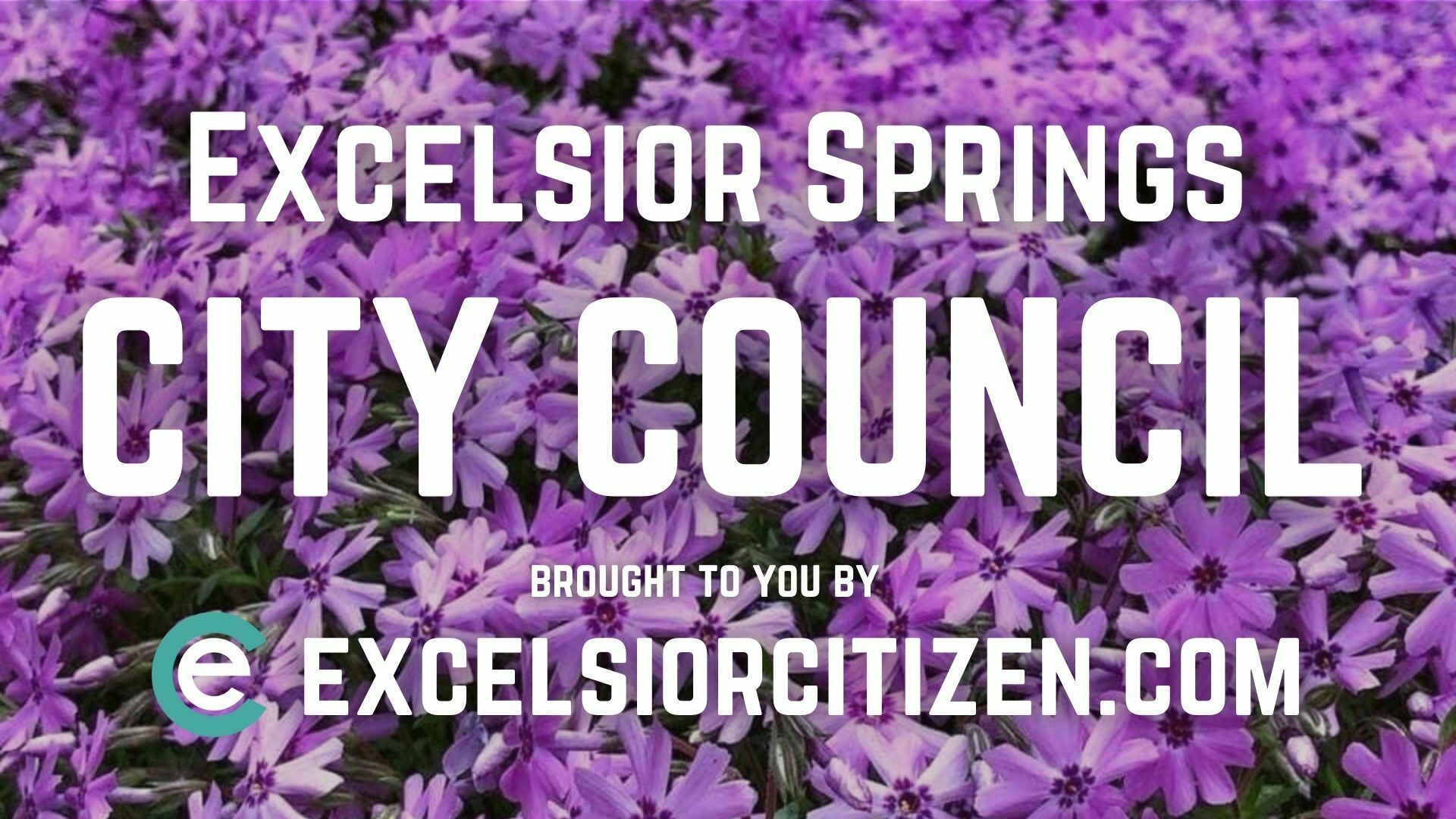 City Council June 2022