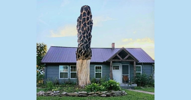 Shroom with a View: Lewis Elementary Art Teacher Goes Large with Latest Project