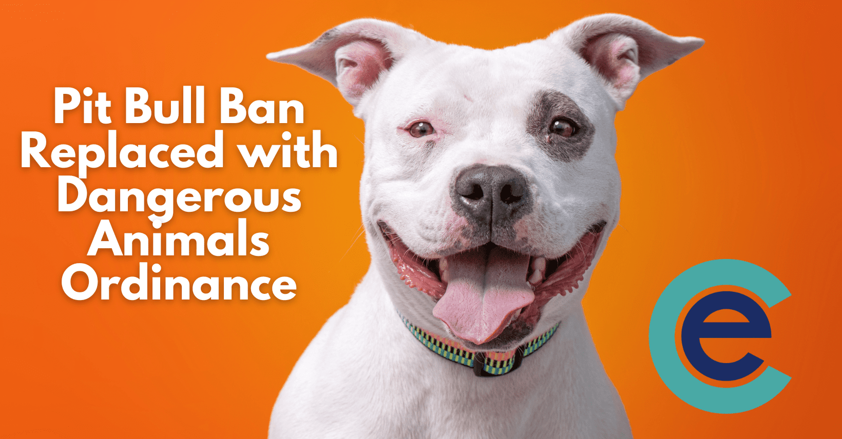 Pit Bull Ban Replaced with Dangerous Dogs Ordinance banner with pit bull smiling