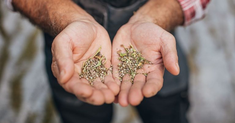 Dreaming of Spring? KC Seed Exchange Set for January 28th