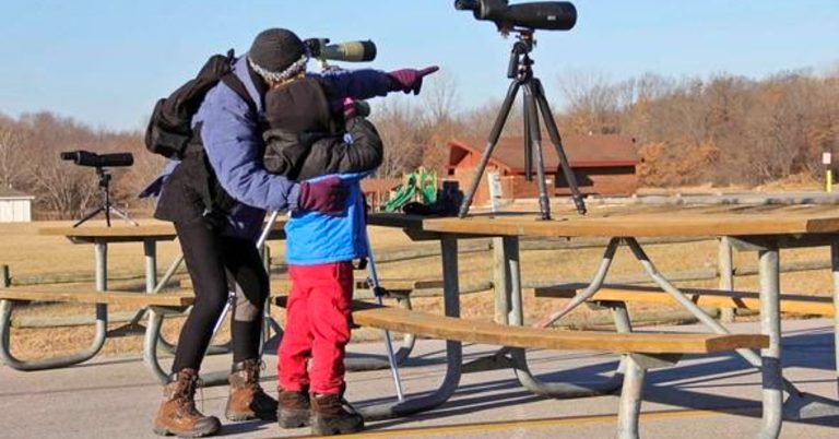 Eagle Days Returns This Weekend to Smithville Lake (Jan. 6-7)