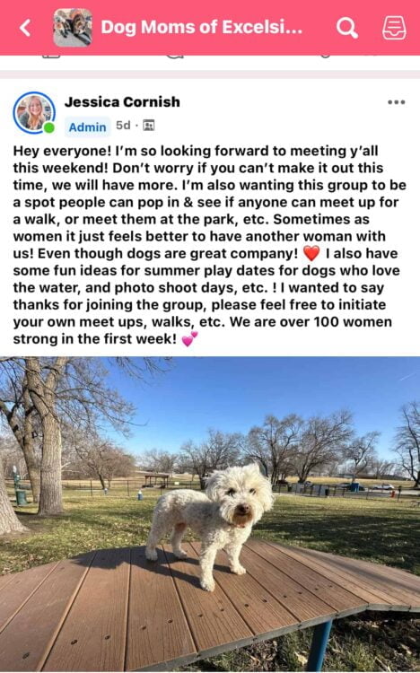 Dog Moms note from Jessica Cornish