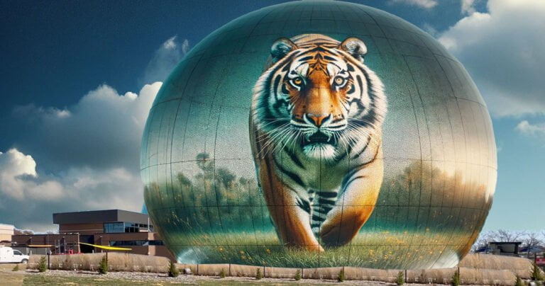 Tiger Dome