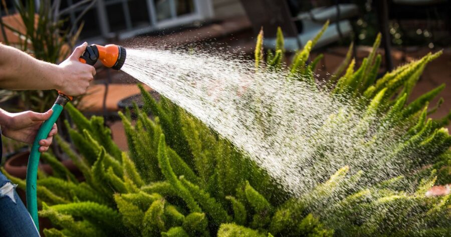 someone holding a garden hose that is on and watering green plants