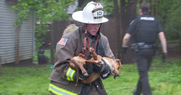 Fiery Pet Rescue Sparks Animal Clinic Donation of Pet Oxygen Masks to ESFD