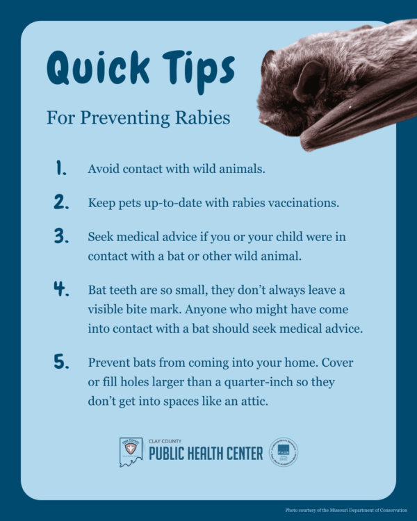 Rabies Prevention Tips