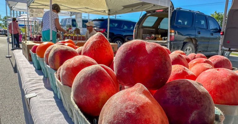 Farmers Market Kicks Off Season with Double Success