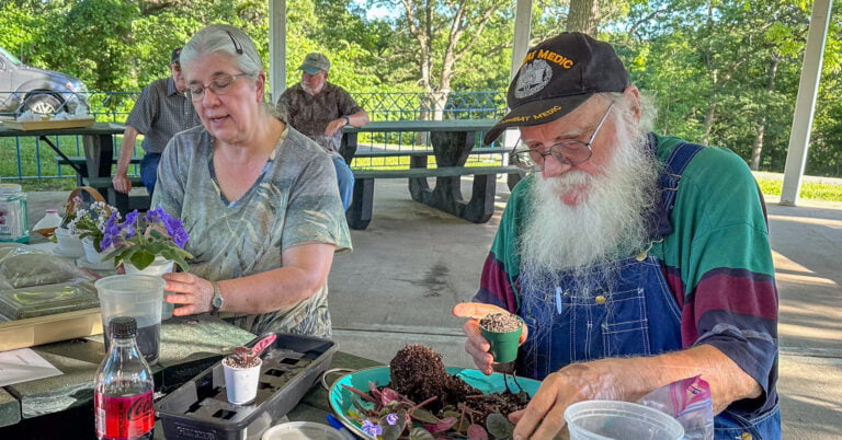 Once Dormant Garden Club Growing Again