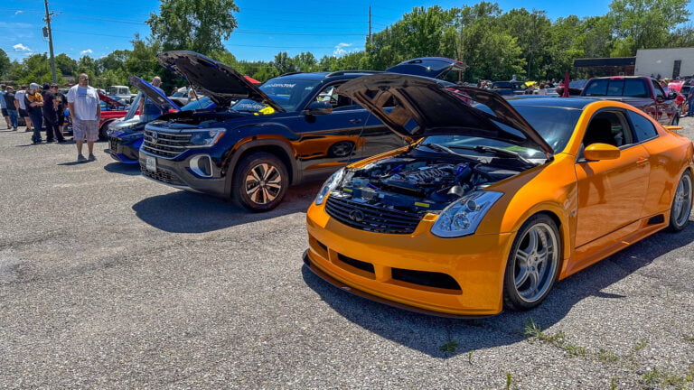 Wild Bunch Car Show Drives Support for Local Animal Shelter