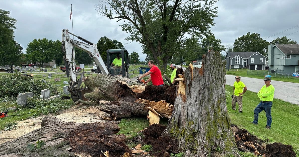 Chad Birdsong chainsaws a fallen tree in Crown Hill Cemetery