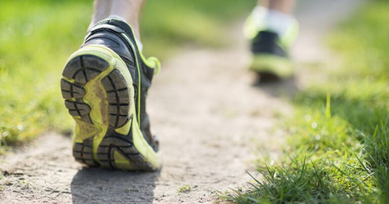 Tigers Cross Country Turn in Solid Times at 20-Team Marshall Meet