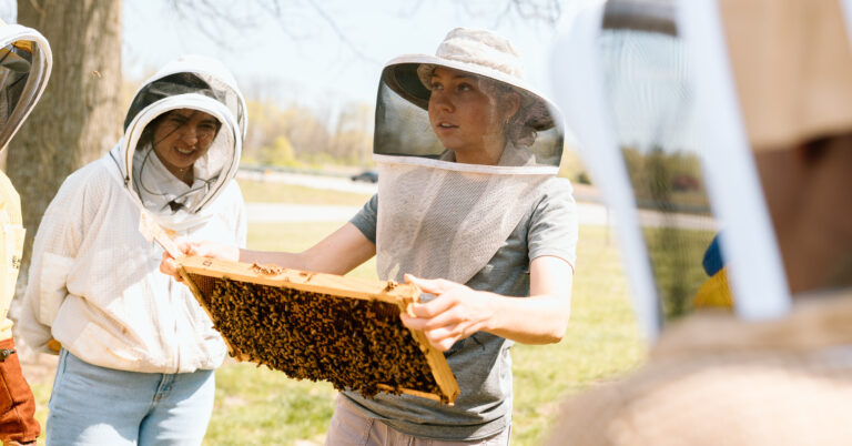Beekeeping with Hitch Hive Honey