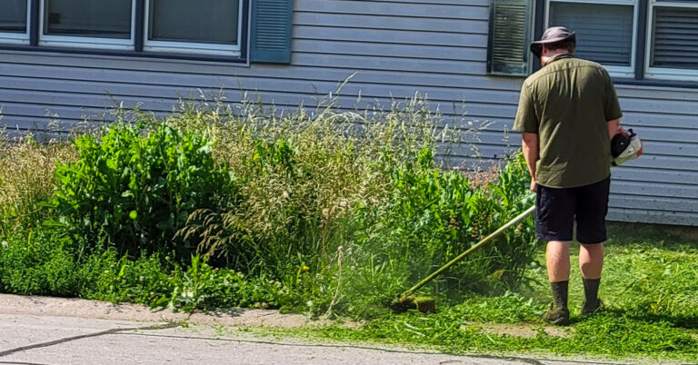 From Overgrown to Overhauled: Inside Excelsior’s Code Enforcement Efforts