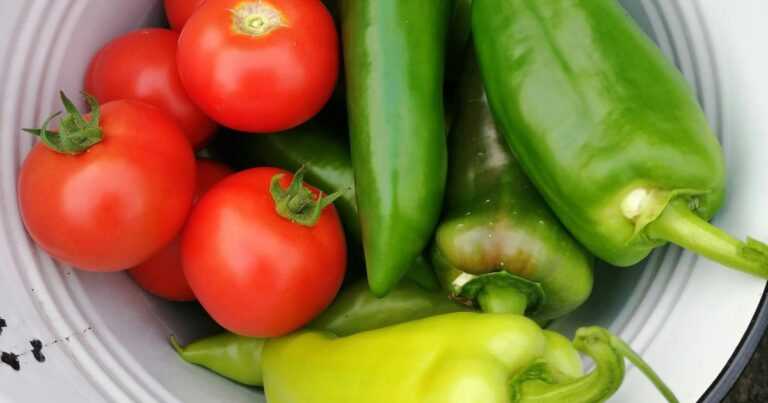 Heat, Humidity, and Hard Lessons: Tips for Tomato and Pepper Success in Excelsior Springs