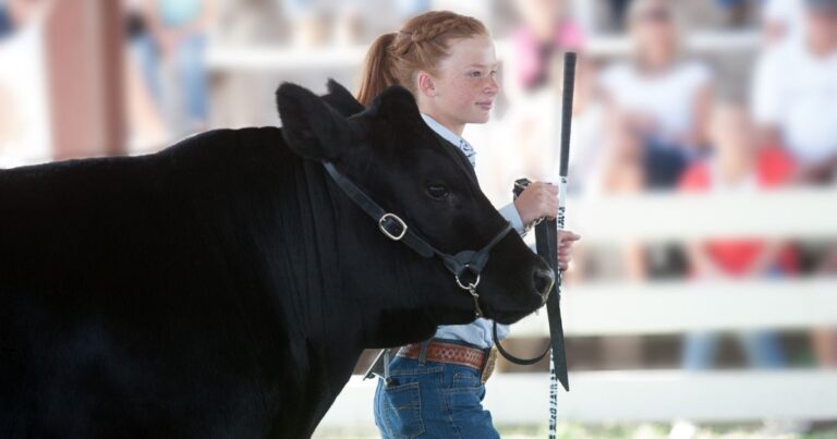 Ray County Extension Funding Draws Public Outcry as Commissioners Say No Decision Made