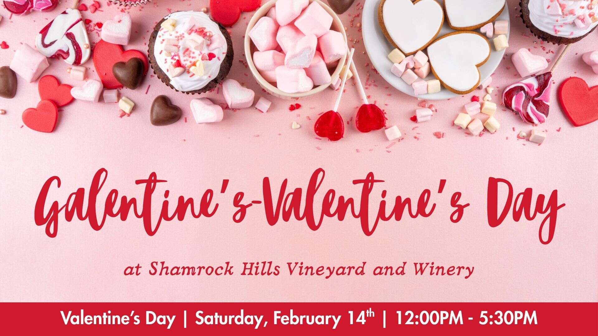 Galentine's Valentine's Day at Shamrock Hills Vineyard and Winery
