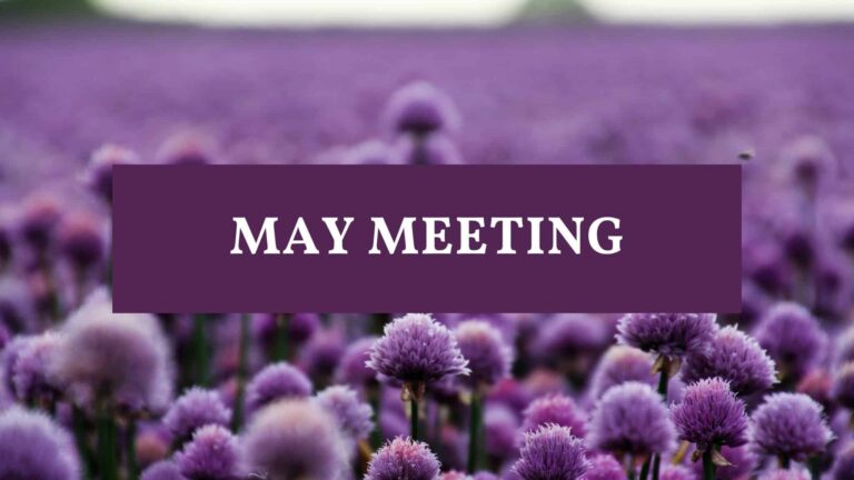 cornerstone pto may meeting