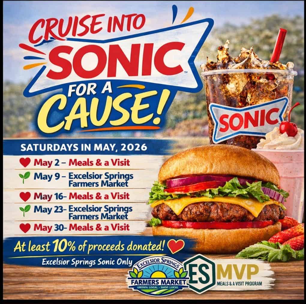 Sonic for a Cause